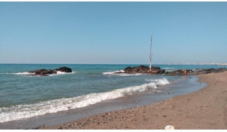 דירות בנאלמדנה Faro12 Playa & Piscina & Parking Privado מראה חיצוני תמונה